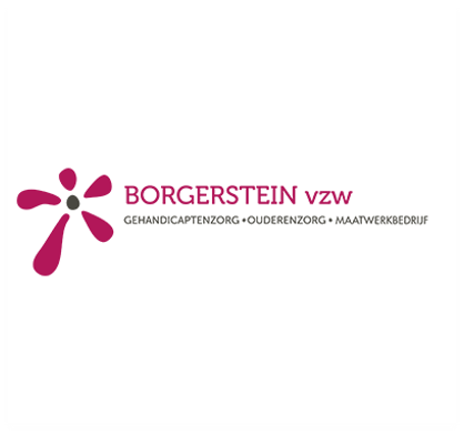 borgerstein-logo_website